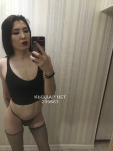 Транс Алматы Анкета №239681 Фотография №2673073